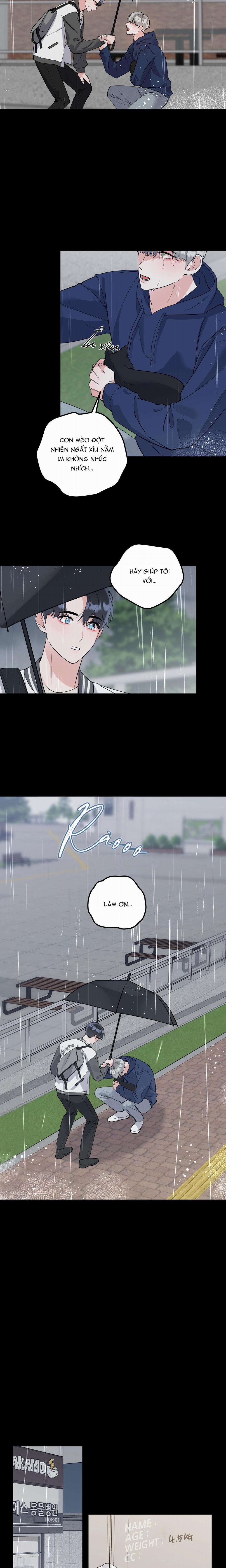 Tuyển Tập Truyện Ngắn Hỏny Của Nhà Sẹc 57 CON MÈO NÀY 3 trang 8