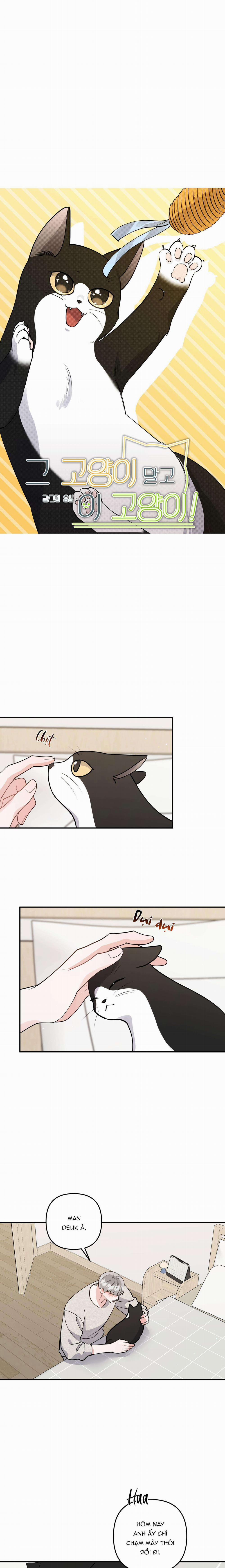 Tuyển Tập Truyện Ngắn Hỏny Của Nhà Sẹc 57 trang 5