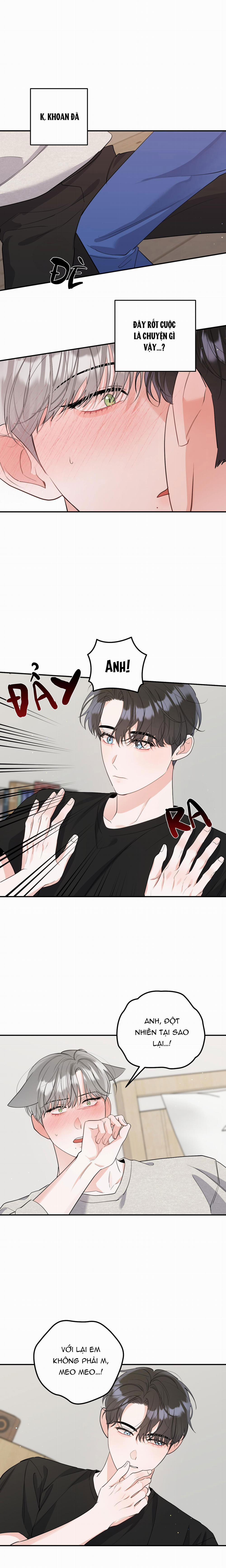 Tuyển Tập Truyện Ngắn Hỏny Của Nhà Sẹc 58 CON MÈO NÀY 4 trang 2