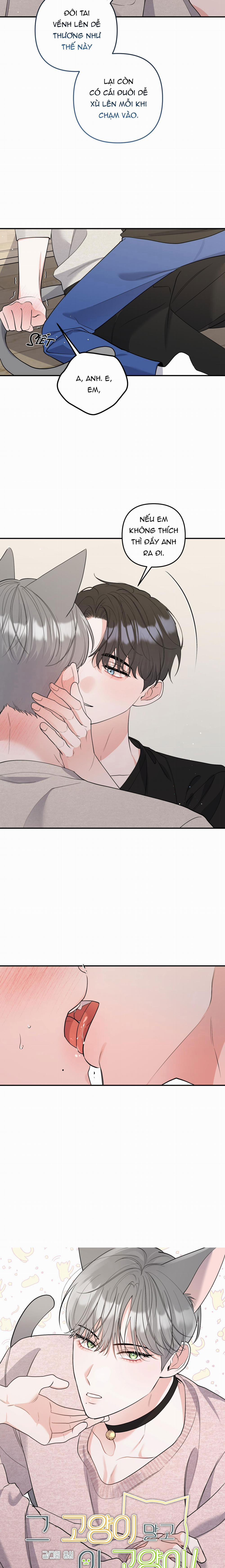 Tuyển Tập Truyện Ngắn Hỏny Của Nhà Sẹc 58 CON MÈO NÀY 4 trang 4