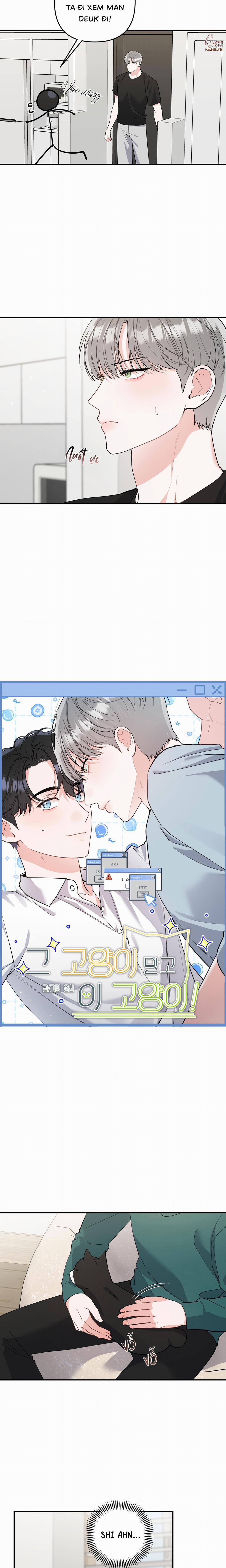 Tuyển Tập Truyện Ngắn Hỏny Của Nhà Sẹc 59 CON MÈO NÀY 5 trang 2