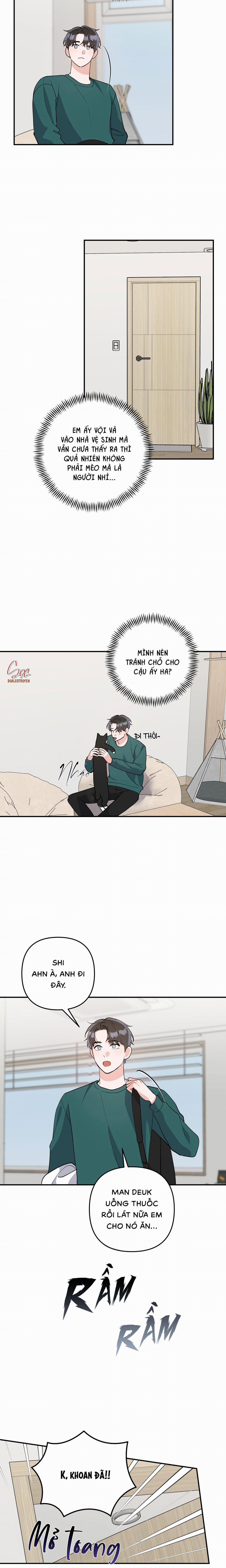 Tuyển Tập Truyện Ngắn Hỏny Của Nhà Sẹc 59 CON MÈO NÀY 5 trang 3