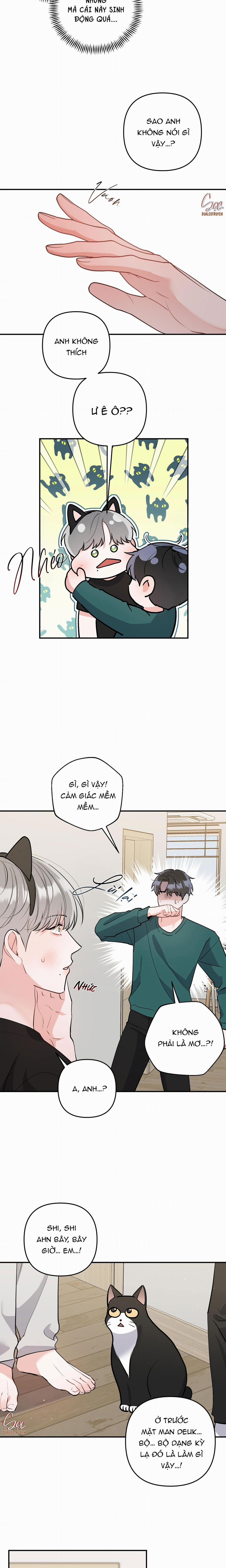 Tuyển Tập Truyện Ngắn Hỏny Của Nhà Sẹc 59 CON MÈO NÀY 5 trang 6