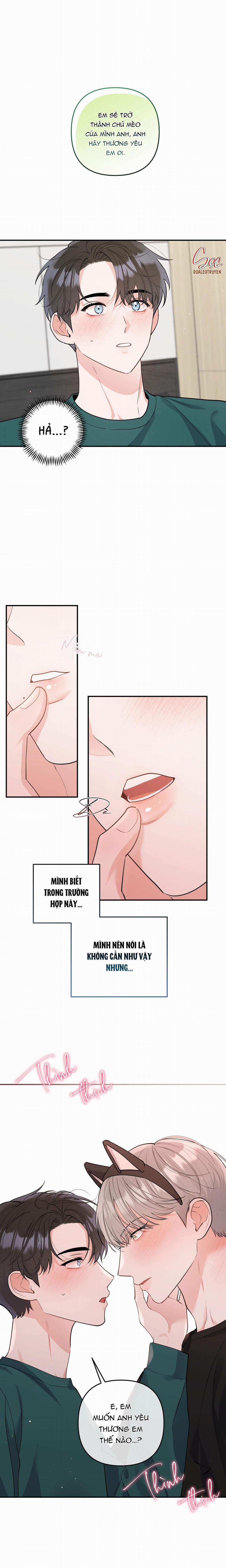 Tuyển Tập Truyện Ngắn Hỏny Của Nhà Sẹc 60 CON MÈO NÀY 6 trang 1