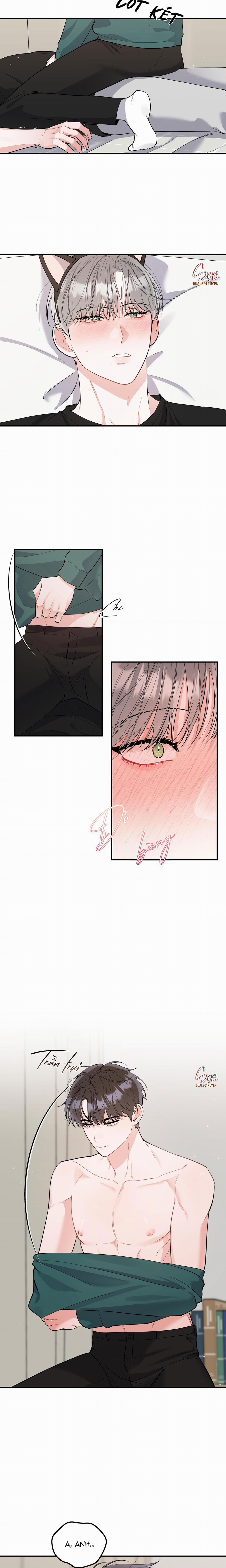 Tuyển Tập Truyện Ngắn Hỏny Của Nhà Sẹc 60 CON MÈO NÀY 6 trang 3