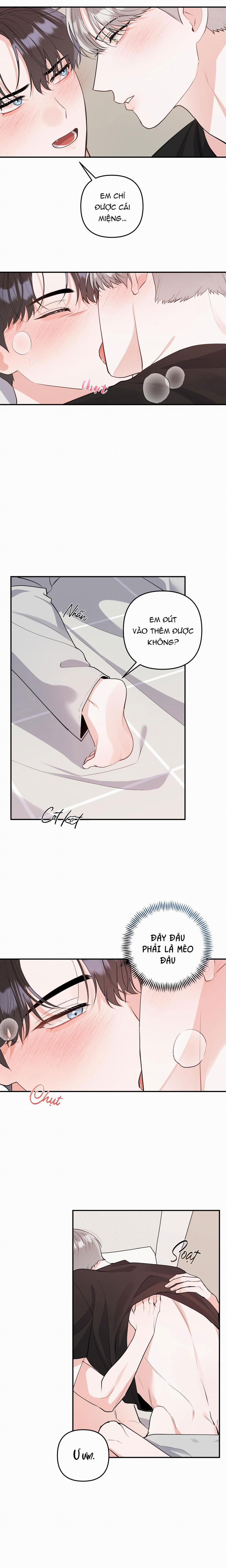 Tuyển Tập Truyện Ngắn Hỏny Của Nhà Sẹc 62 CON MÈO NÀY END trang 2