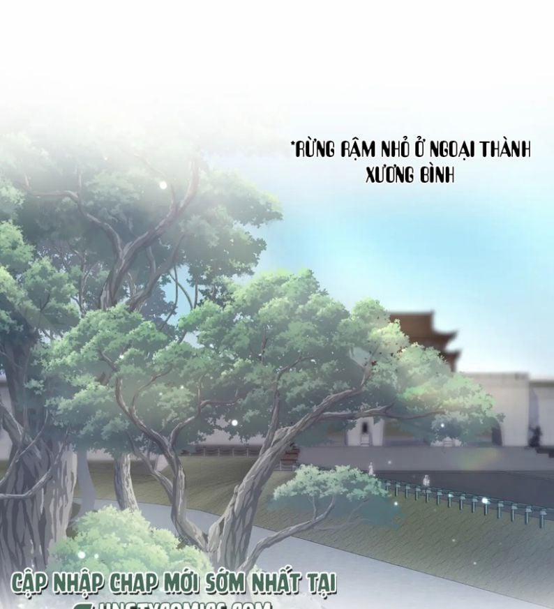 Tuyệt Mỹ Bạch Liên Hoa Online Dạy Học 106 trang 1