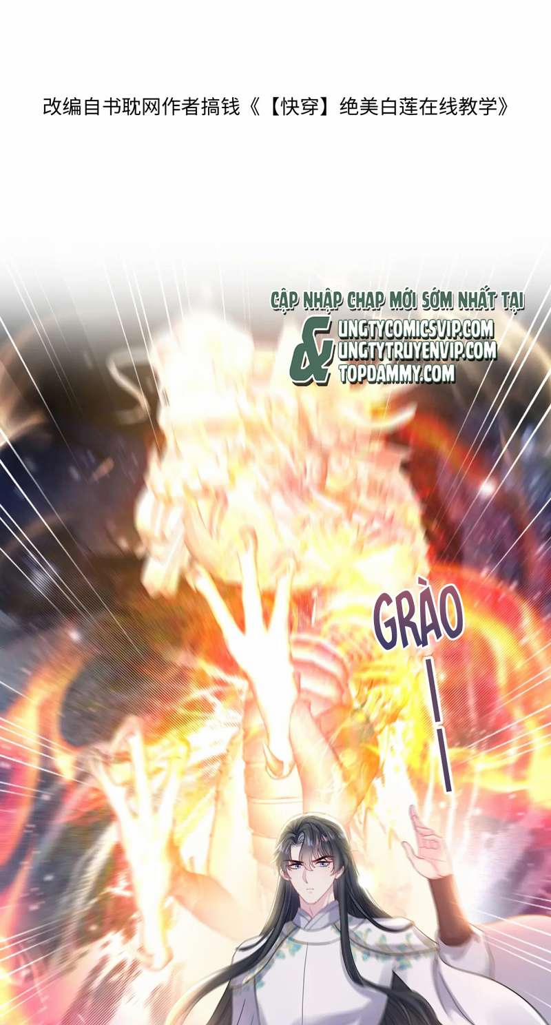 Tuyệt Mỹ Bạch Liên Hoa Online Dạy Học 182 trang 1