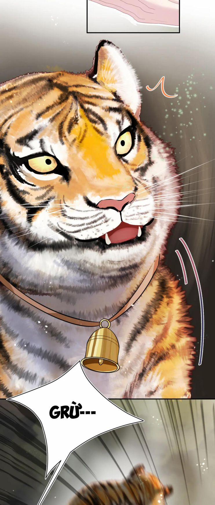 Tuyệt Mỹ Bạch Liên Hoa Online Dạy Học 39 trang 25