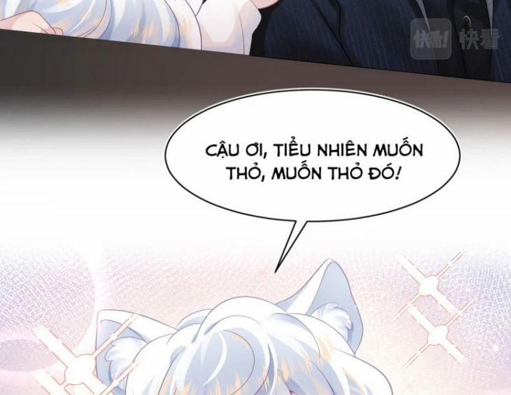 Tuyệt Mỹ Bạch Liên Hoa Online Dạy Học 67 trang 26