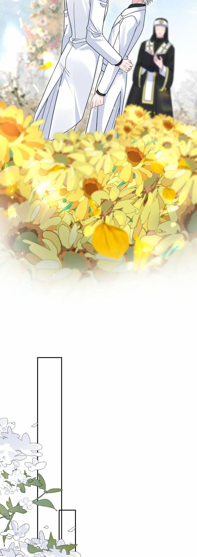 Tuyệt Mỹ Bạch Liên Online Dạy Học 370 trang 6