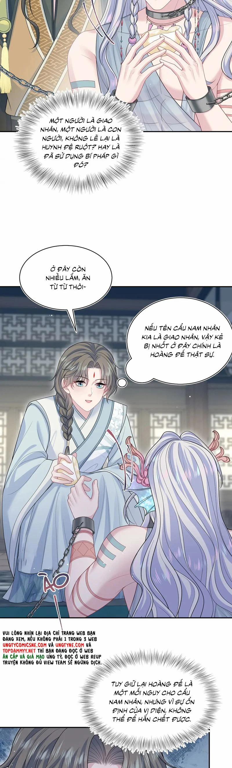 Tuyệt Mỹ Bạch Liên Online Dạy Học 380 trang 2