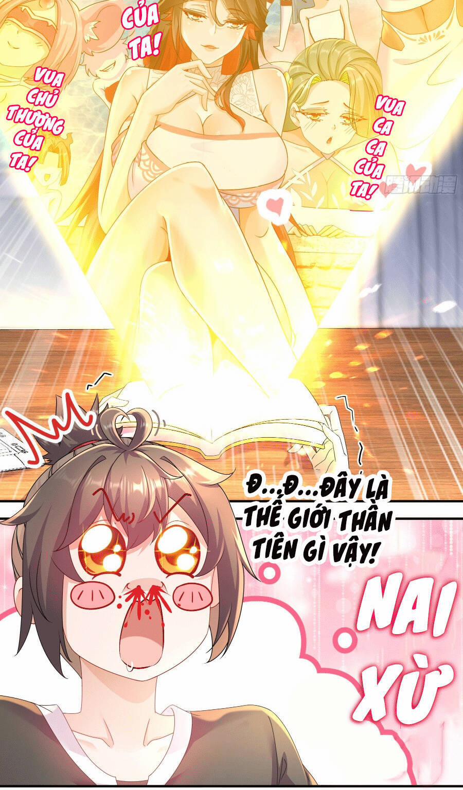 Tuyệt Sắc Đạo Lữ Đều Nói Ngô Hoàng Thể Chất Vô Địch 1 trang 14