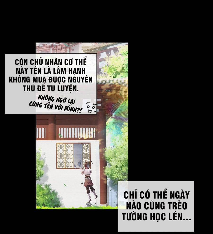 Tuyệt Sắc Đạo Lữ Đều Nói Ngô Hoàng Thể Chất Vô Địch 1 trang 23