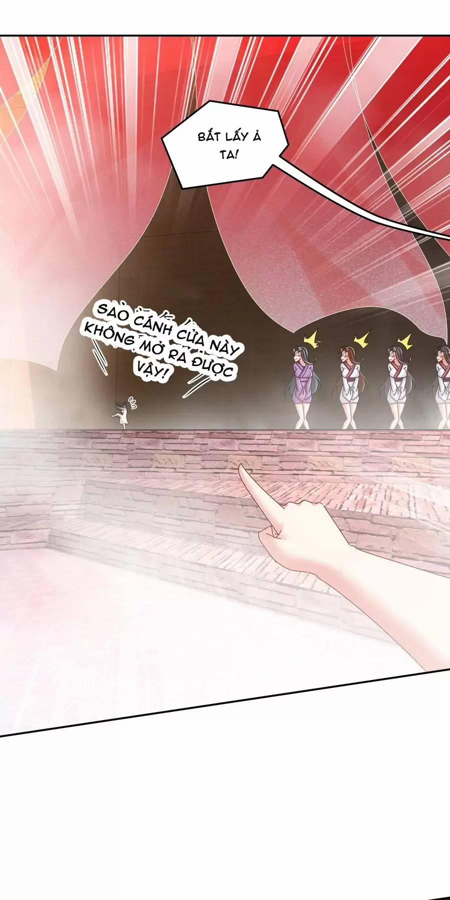 Tuyệt Sắc Đạo Lữ Đều Nói Ngô Hoàng Thể Chất Vô Địch 254 trang 4