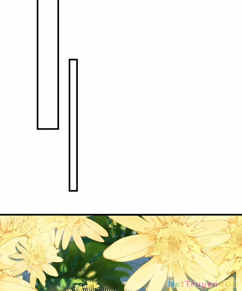 Tuyệt Thế Đan Thần 67 trang 13