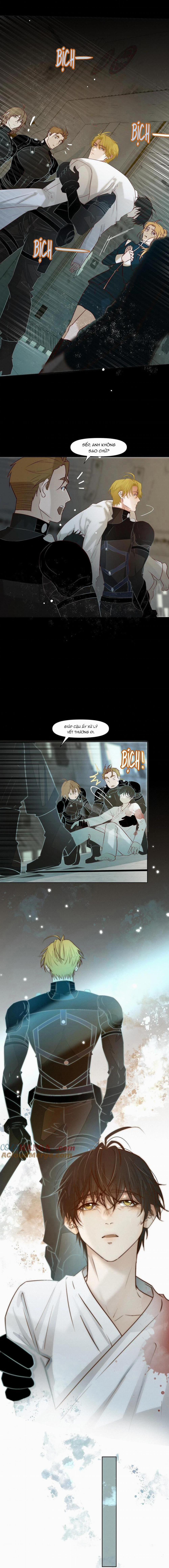 Tuyệt Xử Phùng Sinh 37 trang 1