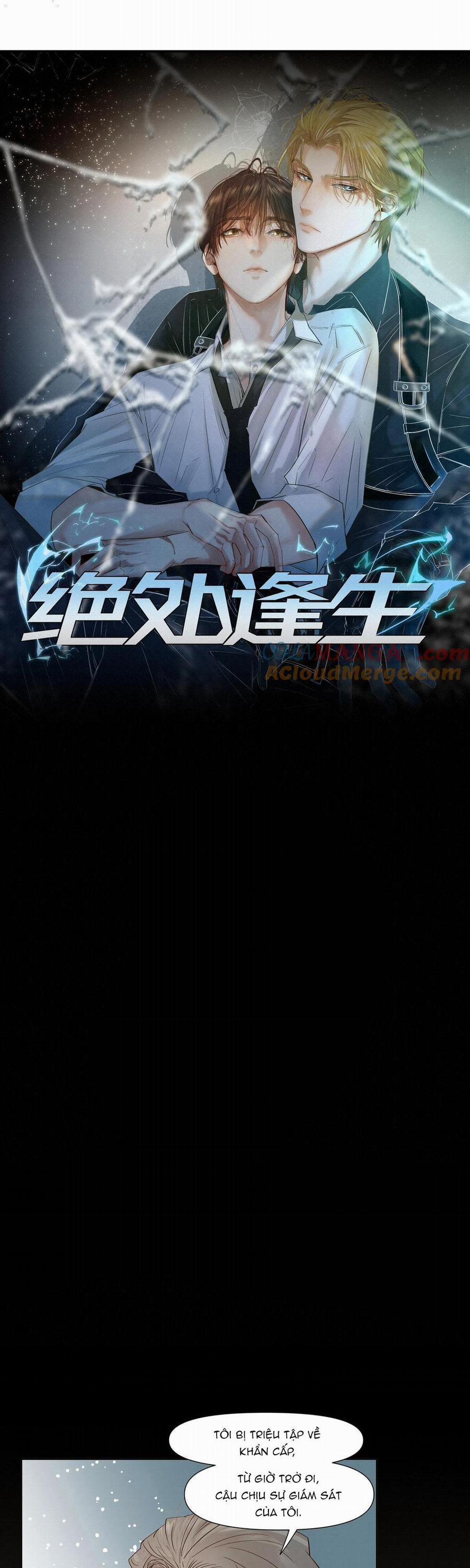 Tuyệt Xử Phùng Sinh 52 trang 0