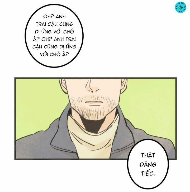 Two Sizes, too small 10 trang 0