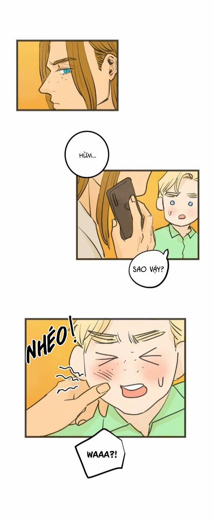 Two Sizes, too small 14 trang 7