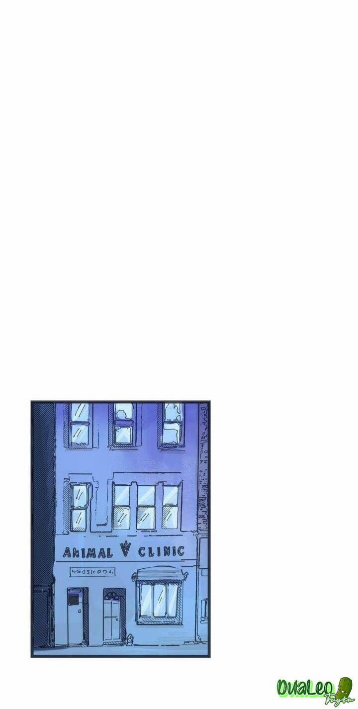 Two Sizes, too small 3 trang 15