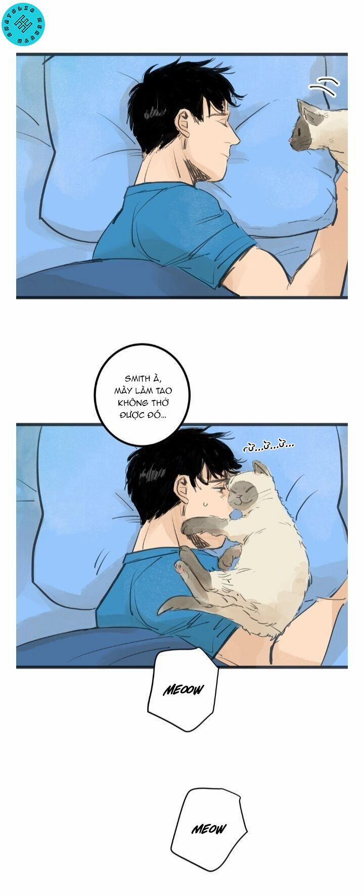 Two Sizes, too small 4 trang 1