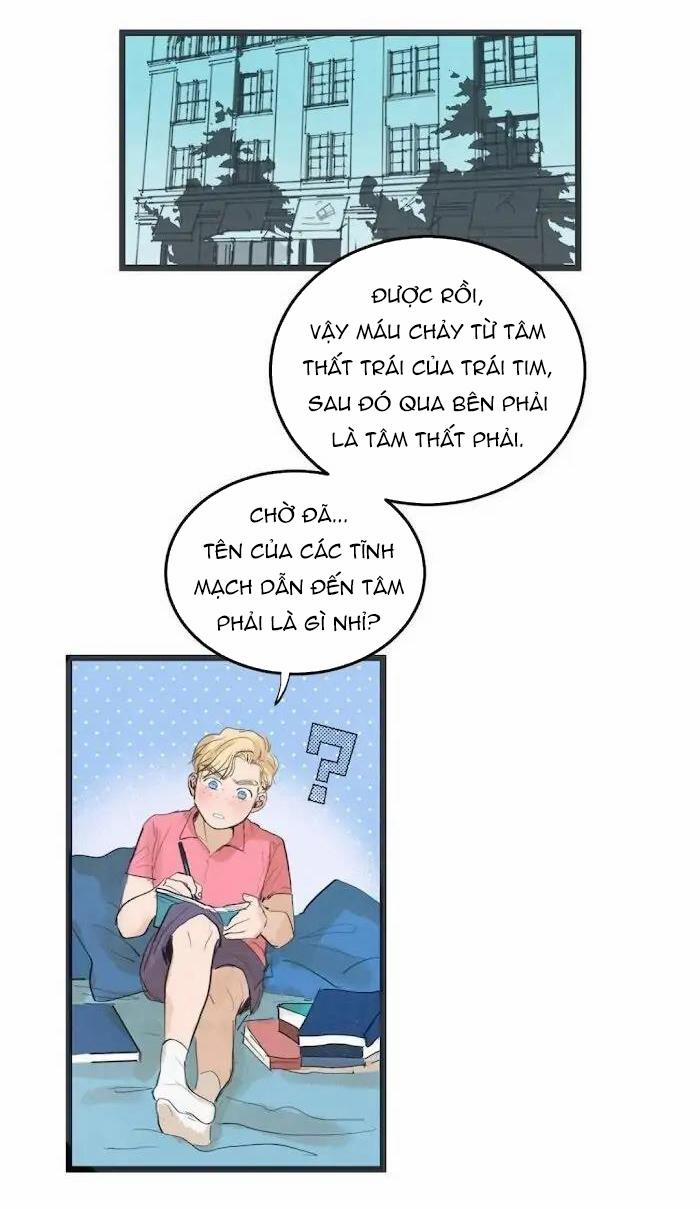 Two Sizes, too small 48 trang 1