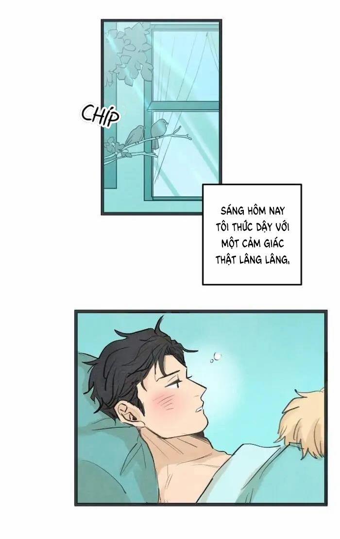 Two Sizes, too small 50 trang 1