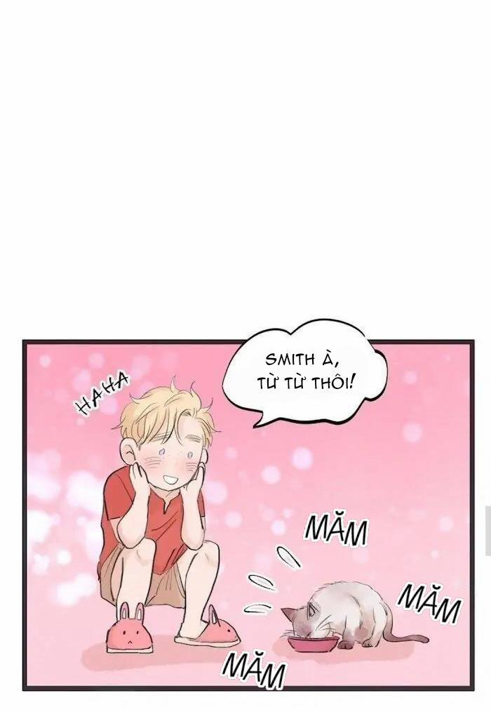 Two Sizes, too small 50 trang 19