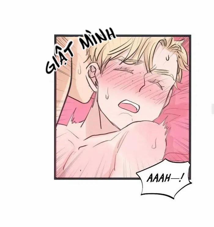 Two Sizes, too small 50 trang 6