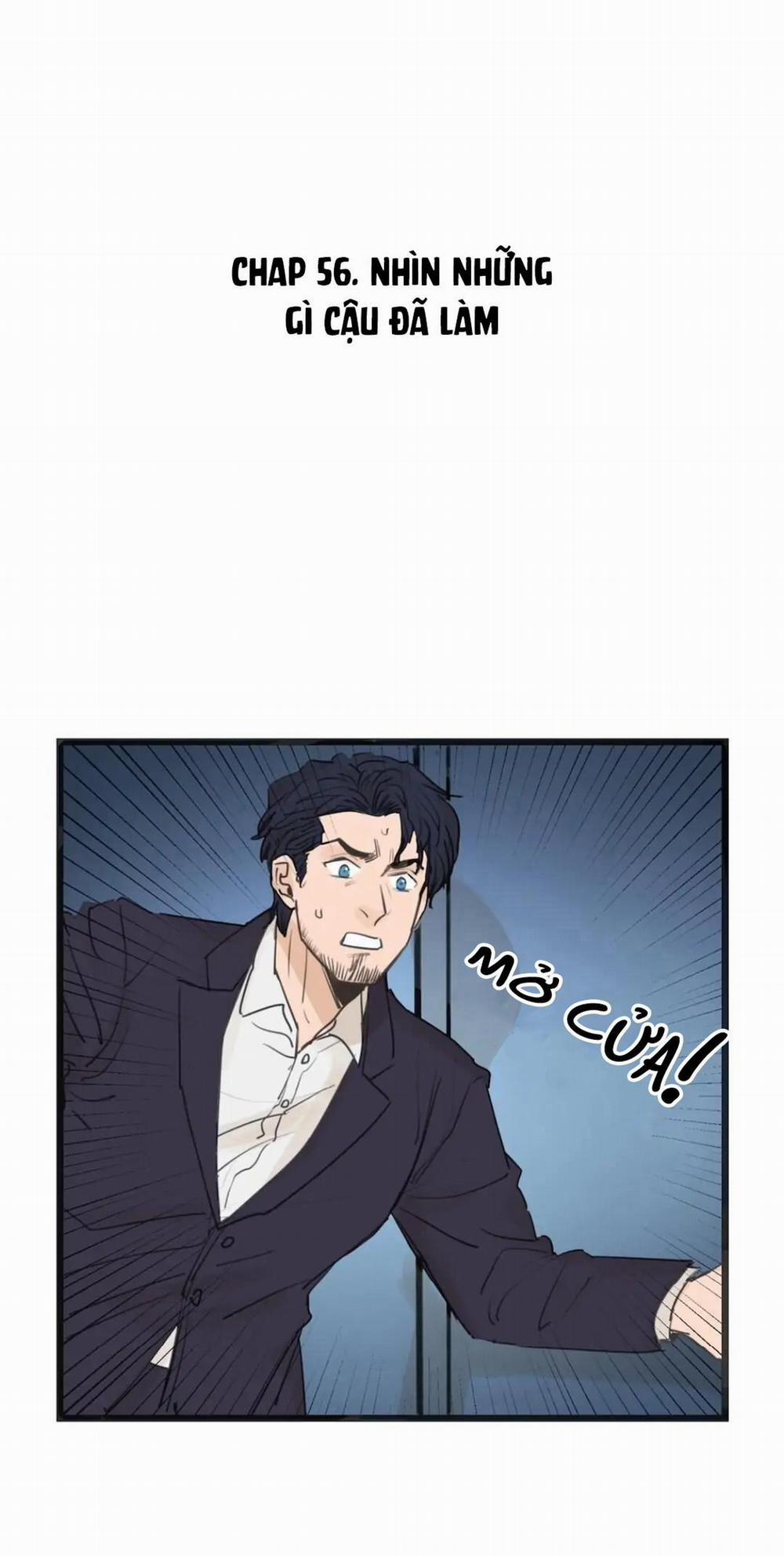 Two Sizes, too small 56 trang 0