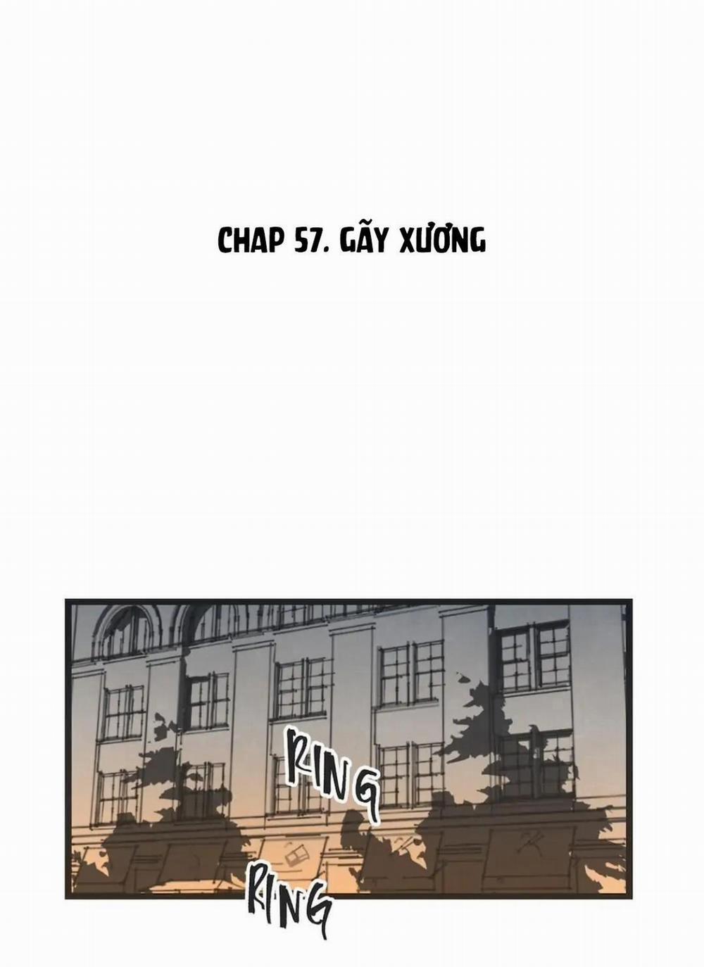 Two Sizes, too small 57 trang 0