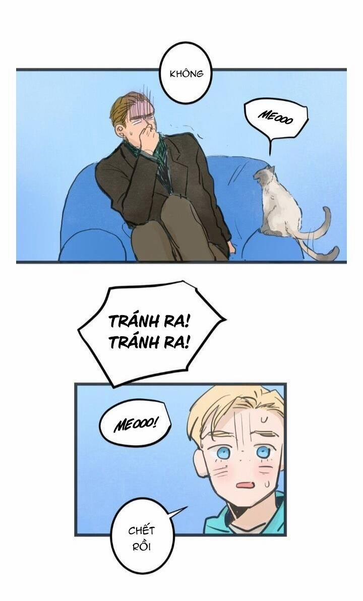 Two Sizes, too small 6 trang 12