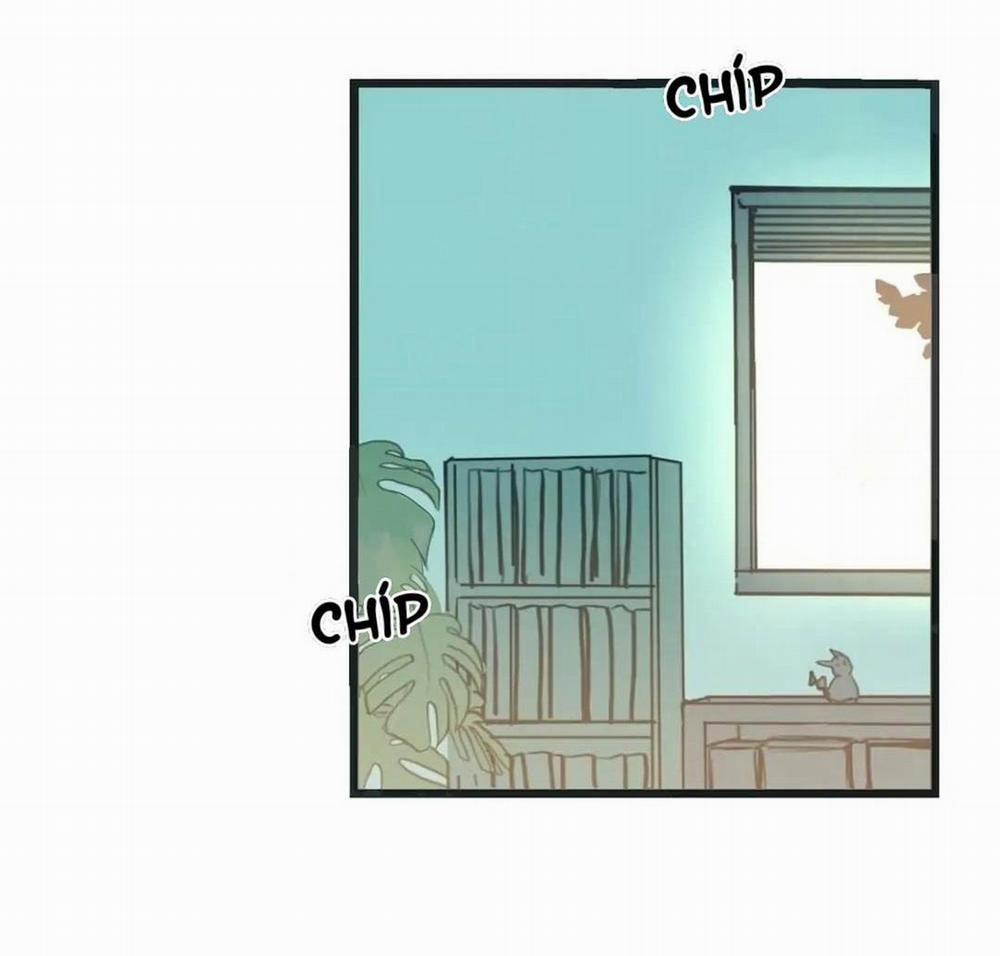 Two Sizes, too small 61 trang 1