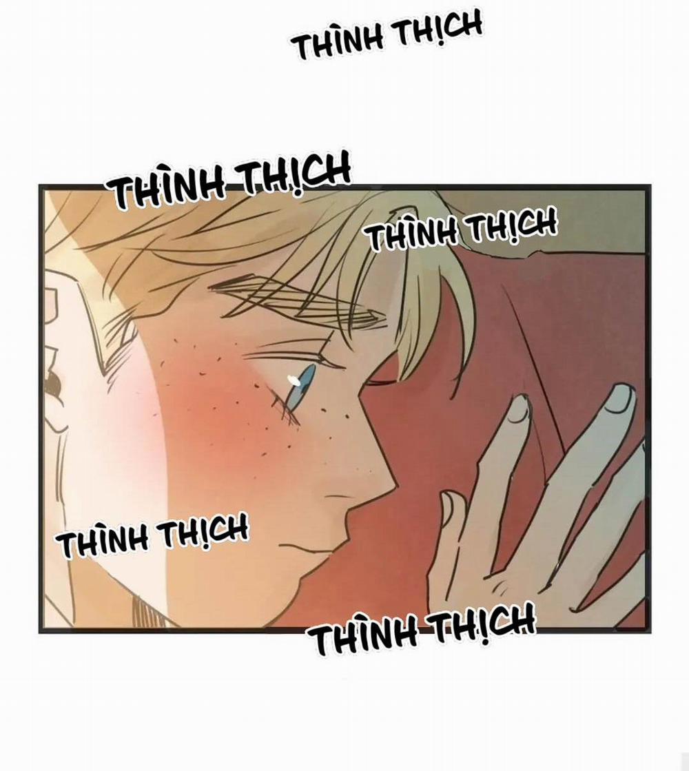 Two Sizes, too small 61 trang 10