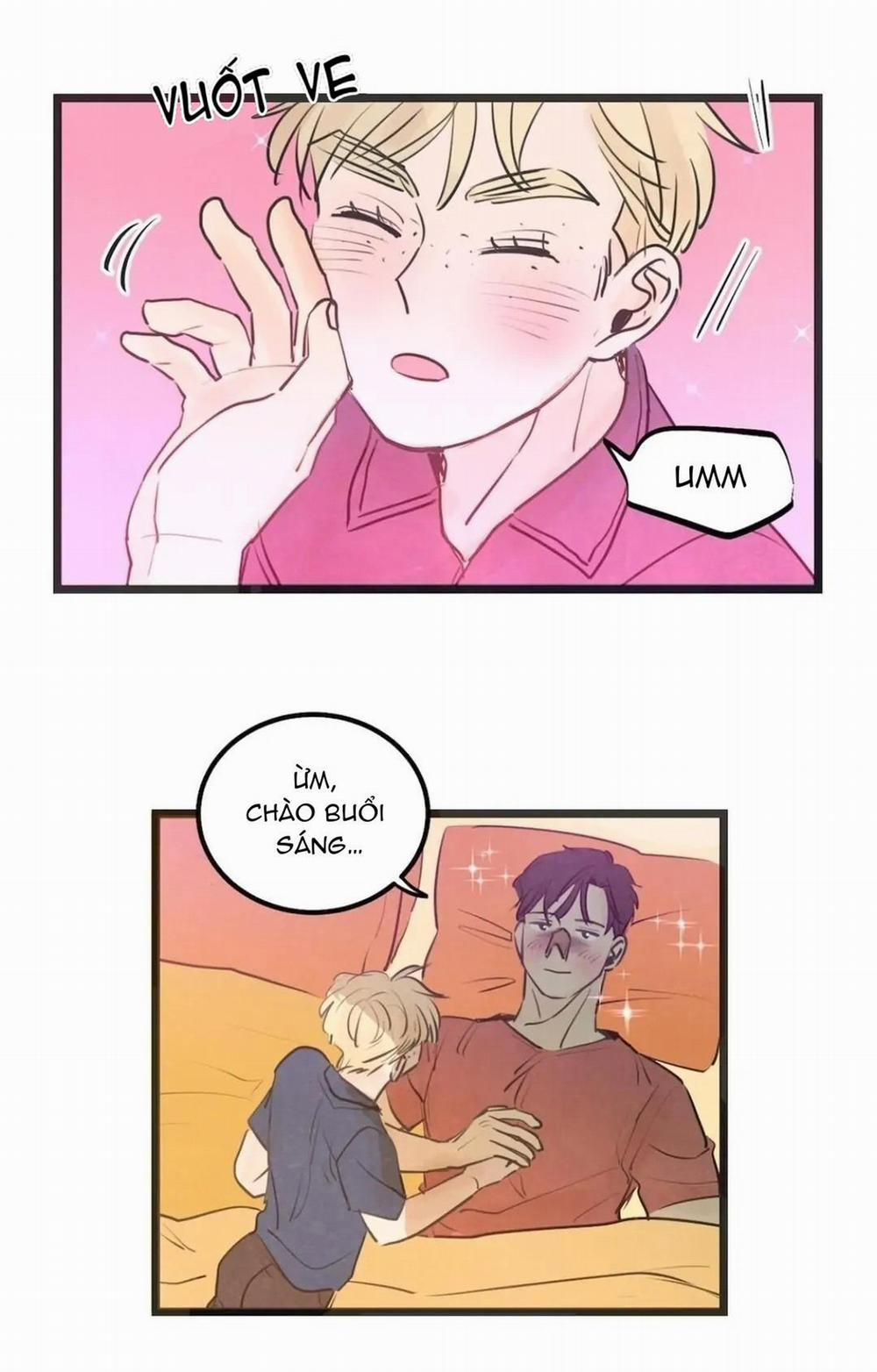 Two Sizes, too small 61 trang 13