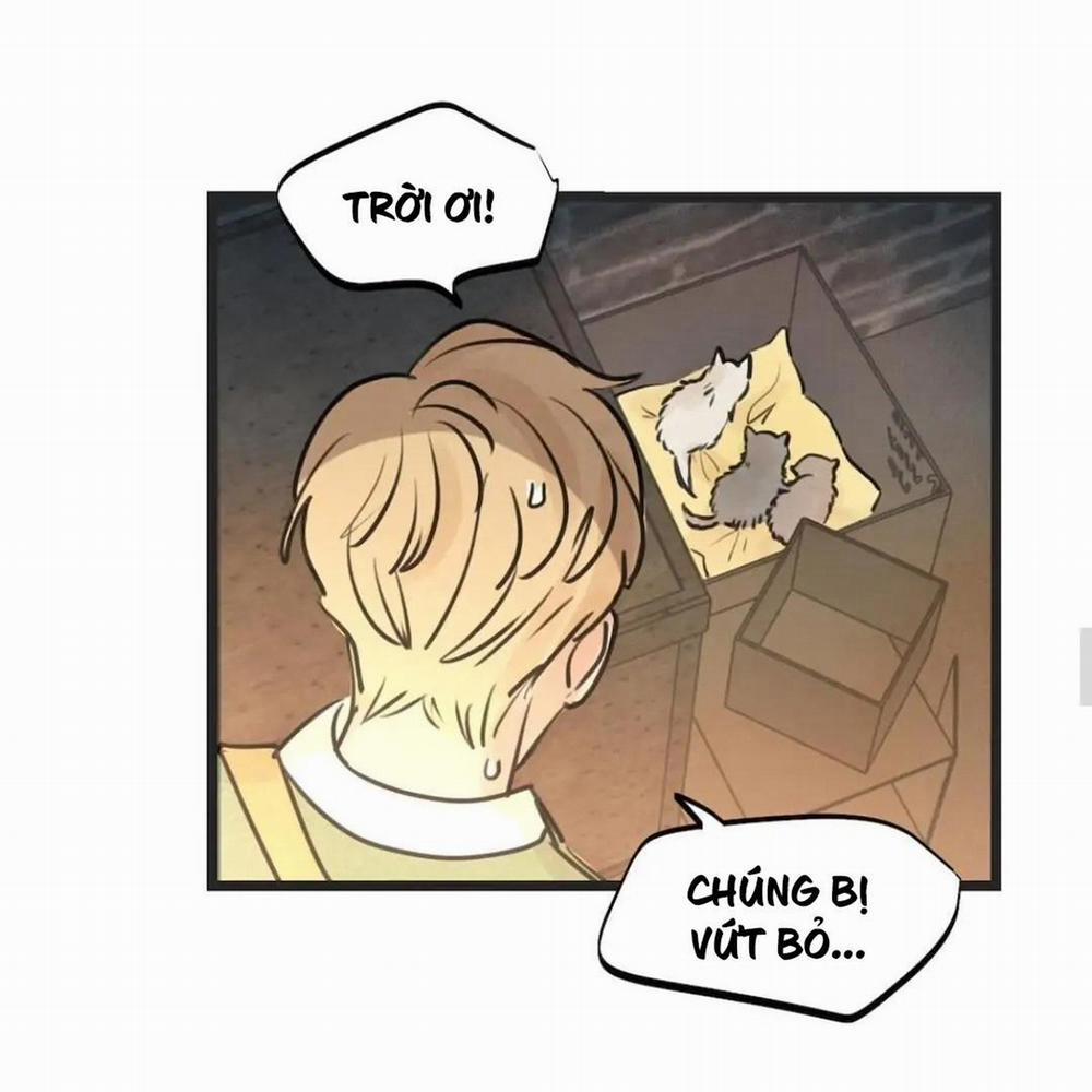 Two Sizes, too small 62 trang 29