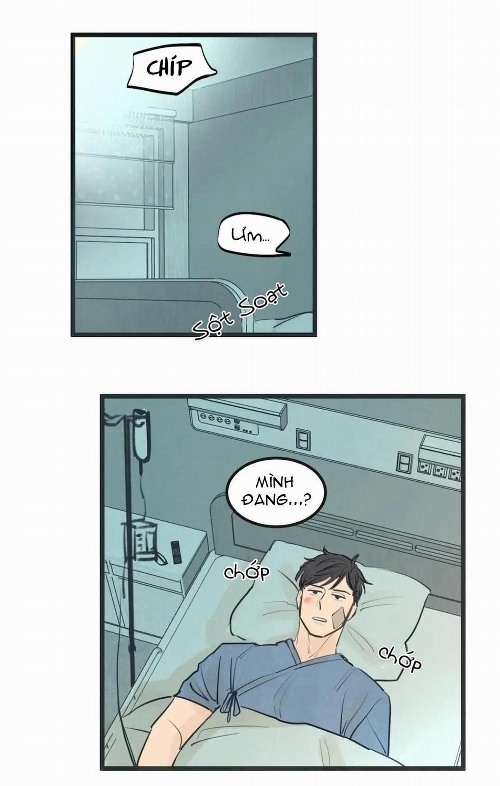 Two Sizes, too small 65 trang 15