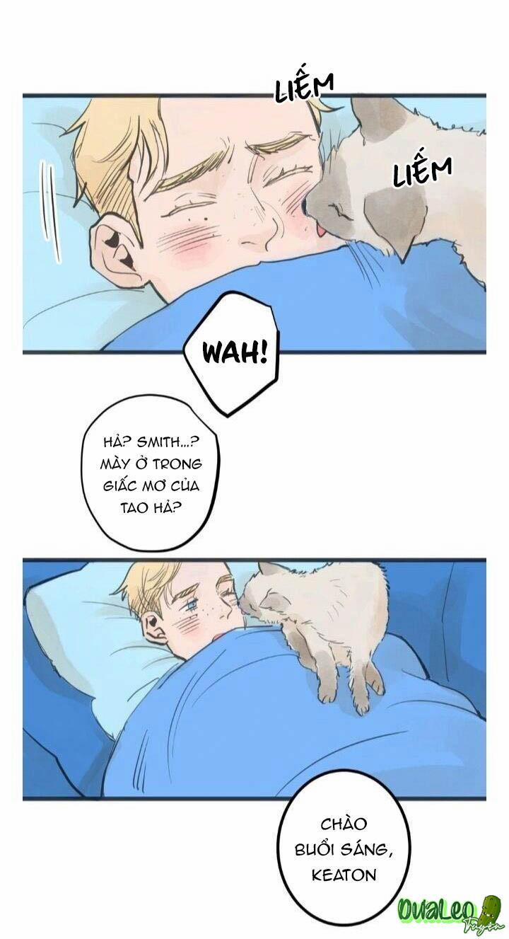 Two Sizes, too small 7 trang 11