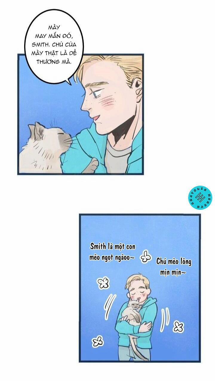 Two Sizes, too small 8 trang 5