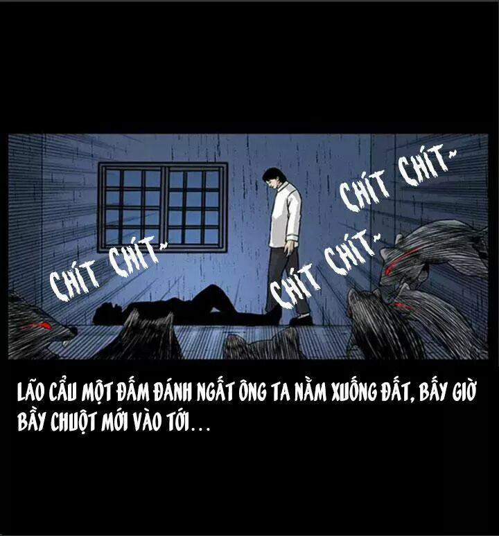 U Minh Ngụy Tượng 62 trang 50