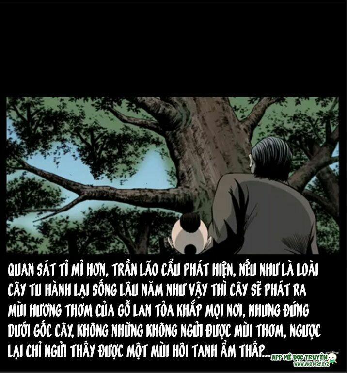 U Minh Ngụy Tượng 8 trang 16