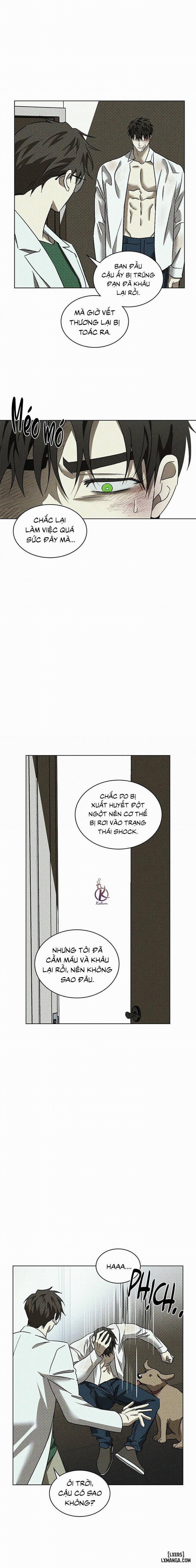 Under the Greenlight - Tận cùng hi vọng 51 trang 13