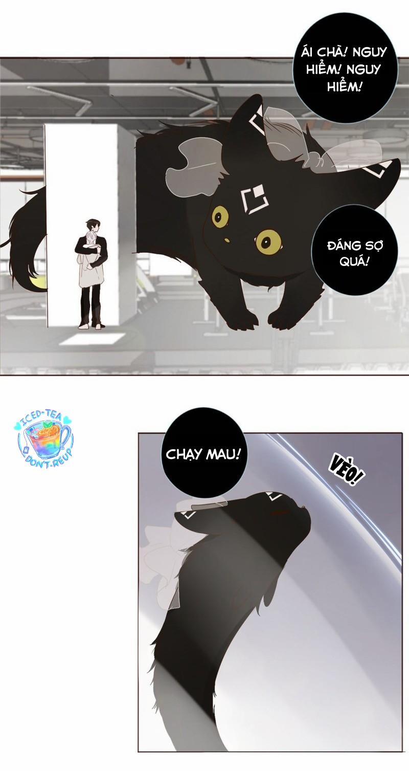 Ủng Nhiên Nhập Hoài 8 trang 21