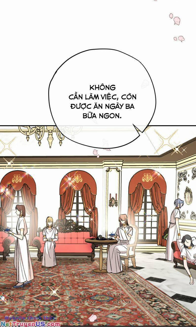 Ước Mong Của Thần Quan Là Được Cưỡi Ác Long 20 trang 22