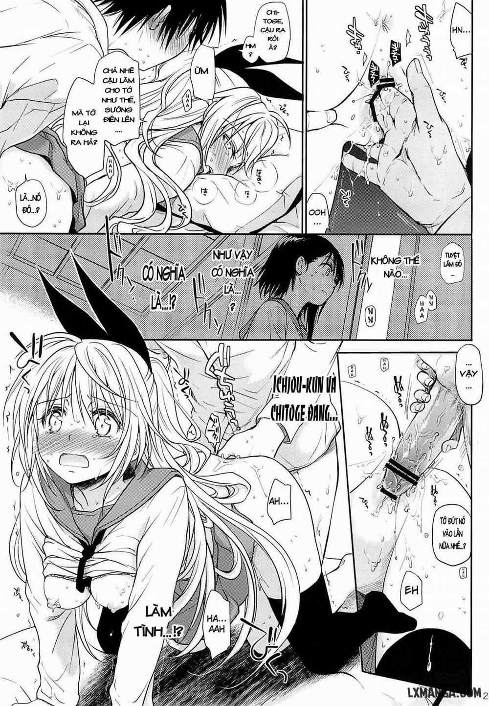 Urakoi Oneshot trang 19