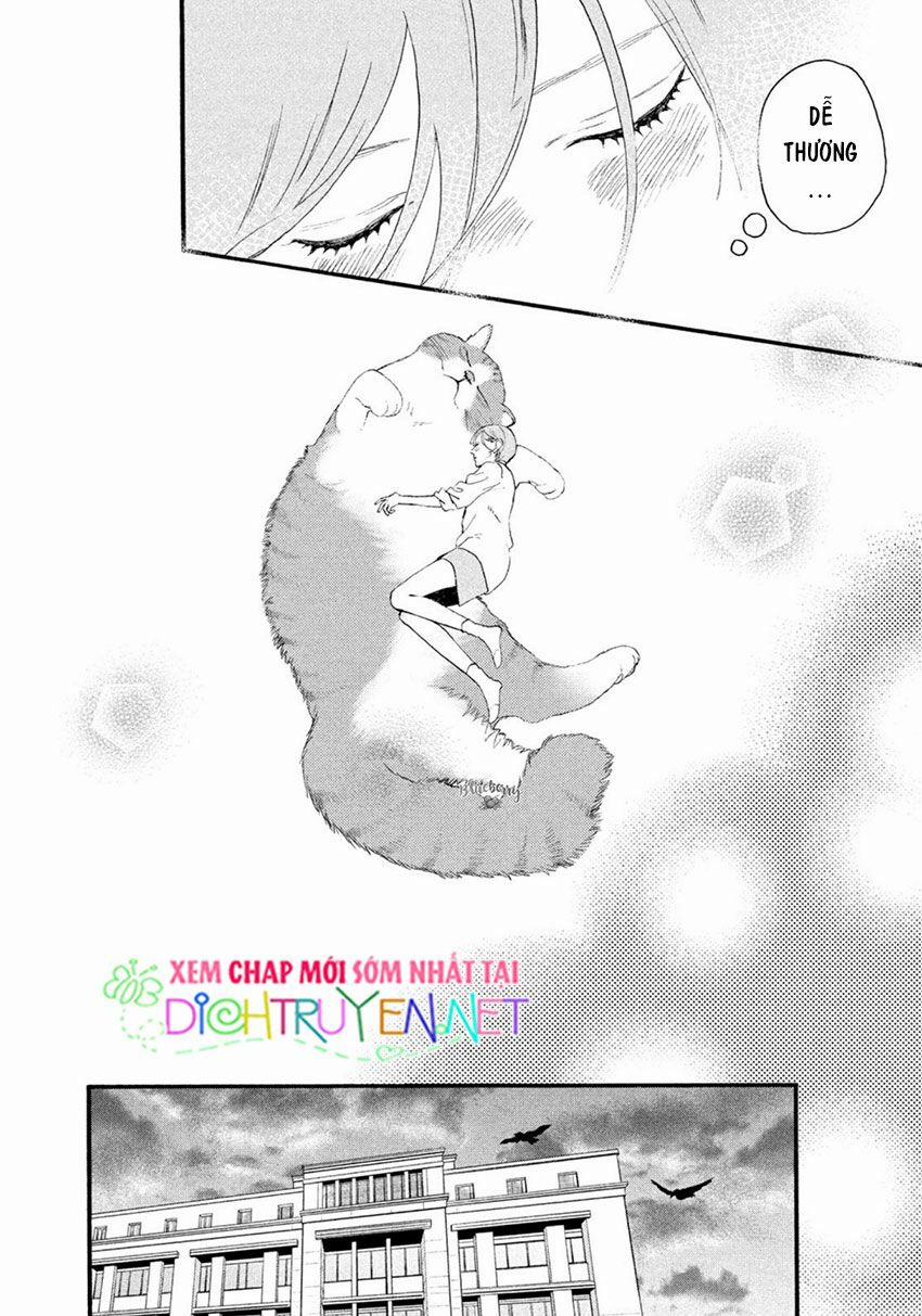 Uruwashi No Yoi No Tsuki 4 trang 27