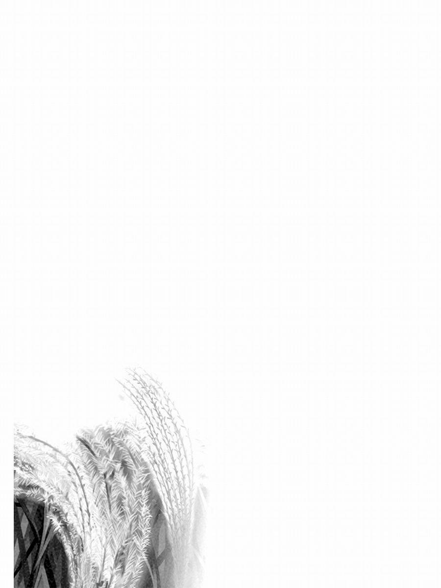 Usagi no Mori 6 trang 3