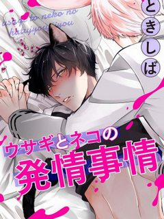 Đọc truyện tranh Usagi to Neko Hatsujou Jijou