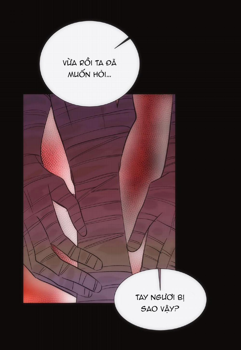 Vài Câu Chuyện Với Sư Tôn Sau Khi Xuyên Sách 46 trang 6